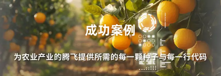 成功案例手机端 banner